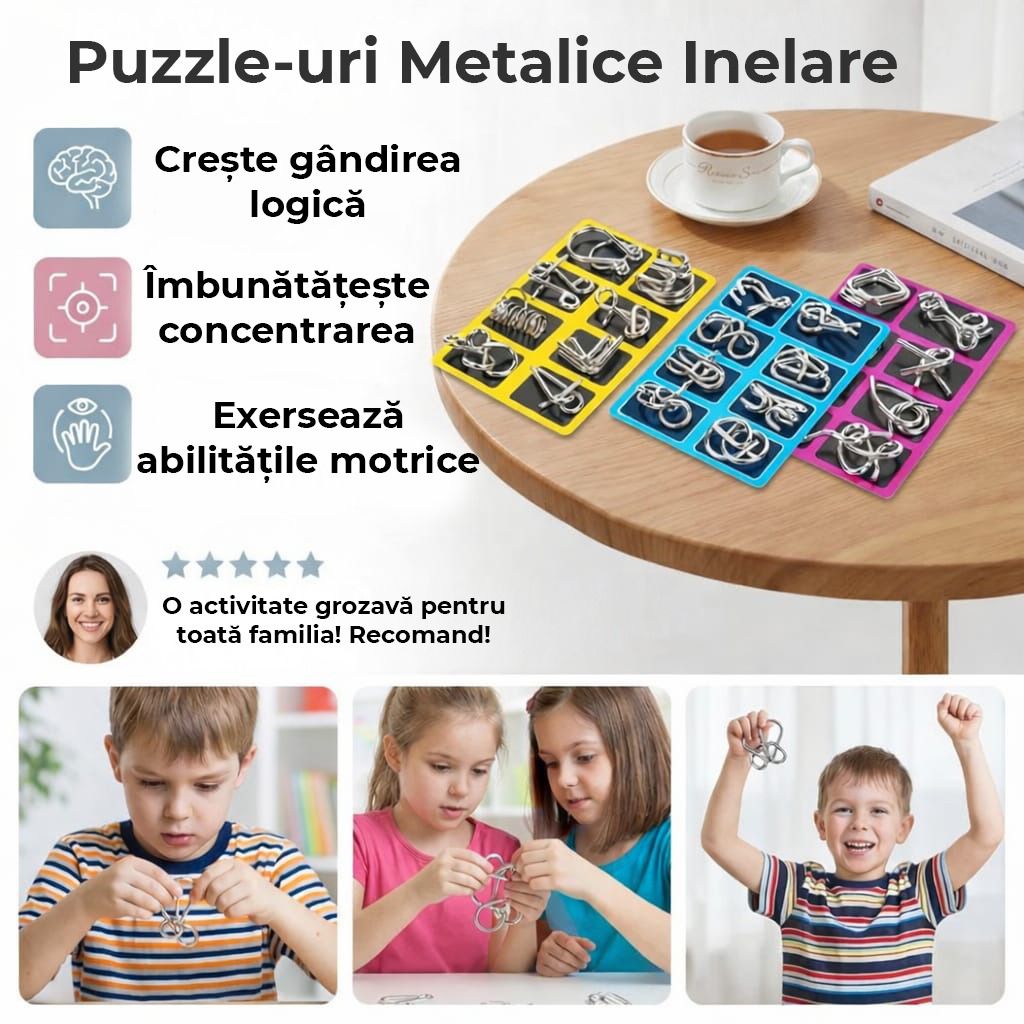 Set Puzzle Metalic, Joc de Inteligența